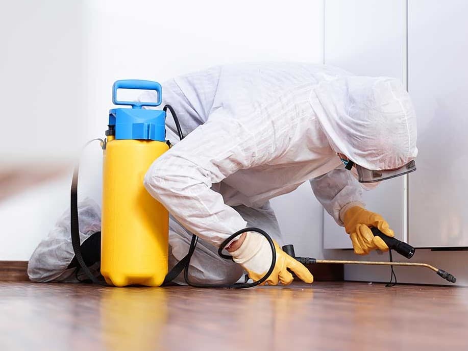 Técnico de SAE aplicando tratamiento de desinsectación en el zócalo de una vivienda